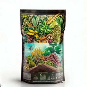 Producto 02