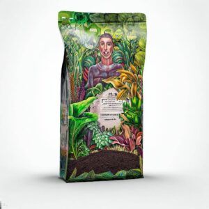 Producto 04
